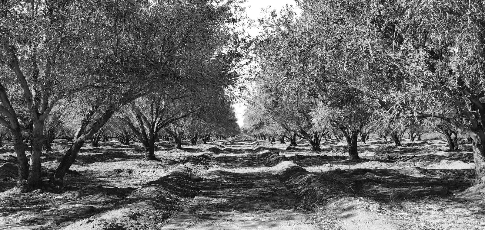 Image3