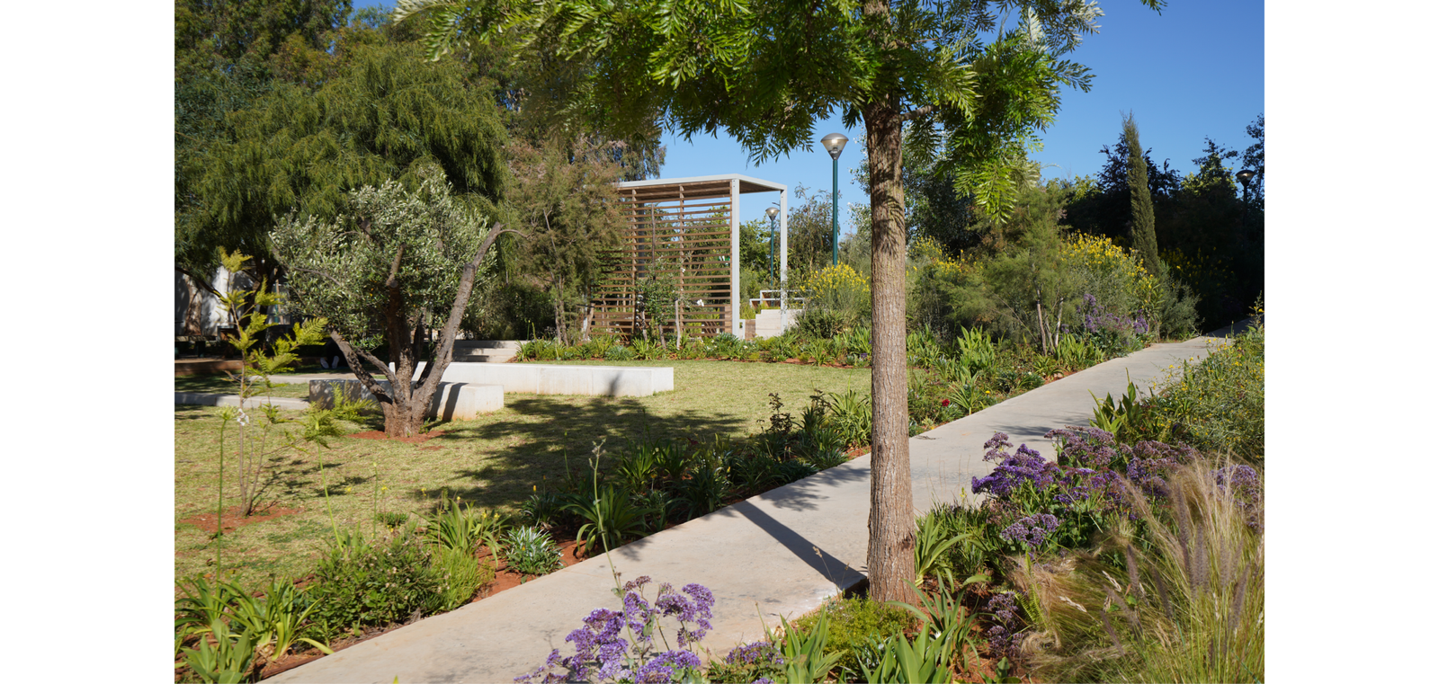 CAMPUS_V3.18