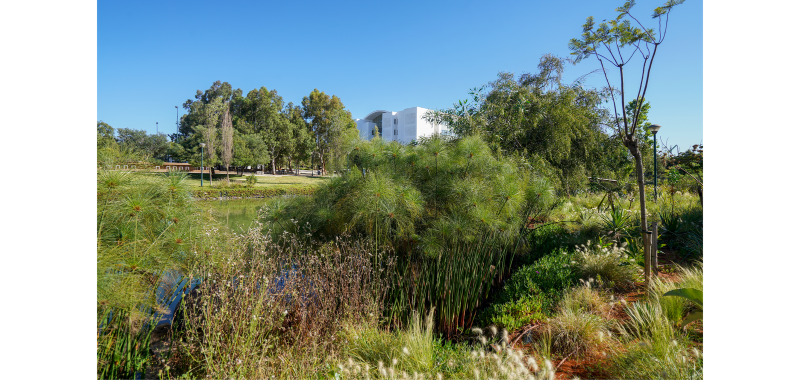 CAMPUS_V3.31