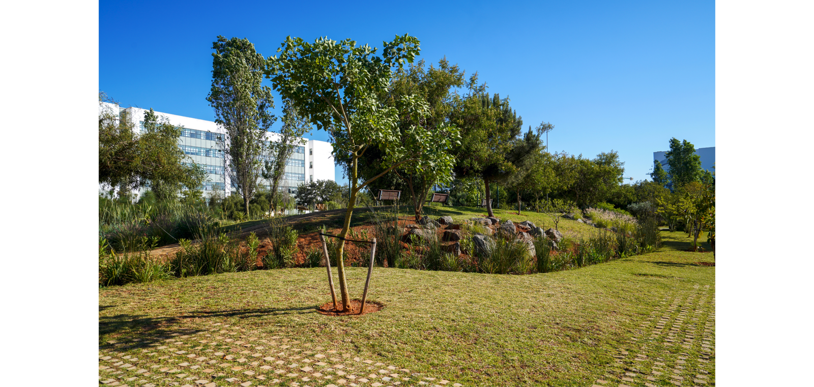 CAMPUS_V3.32